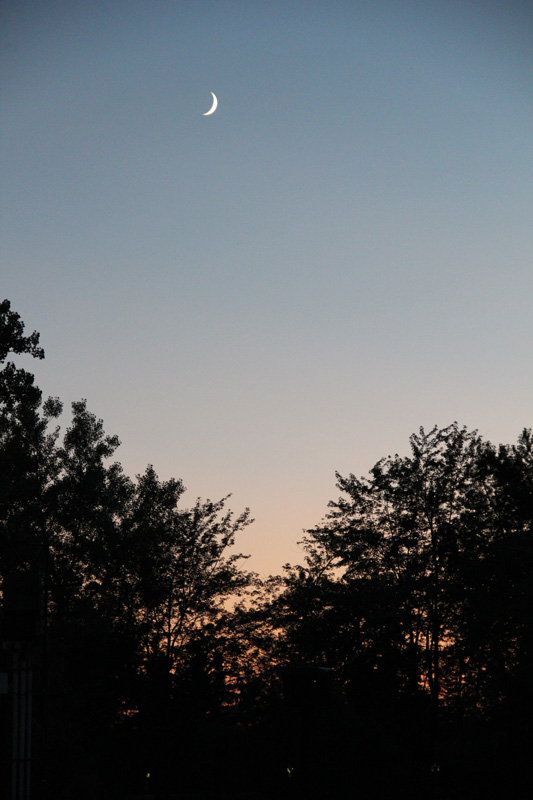 slideshow